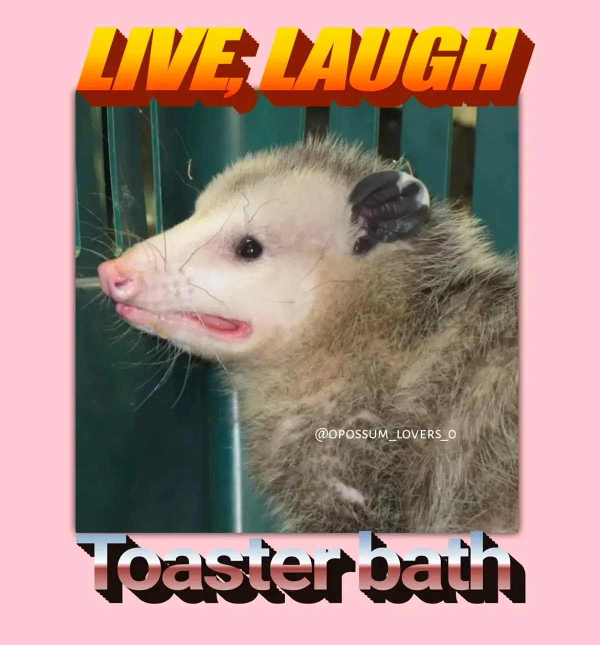 A close-up photo of an opossum with a slightly open mouth and a curious expression, set against a green vertical-bar…