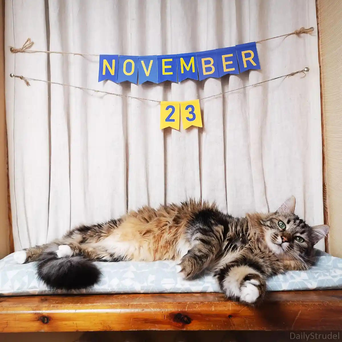 Mark Your Calendars: November 23