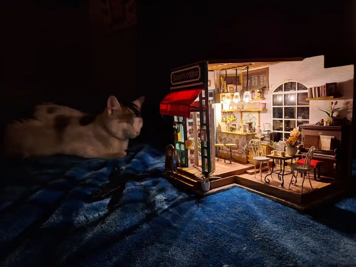 A Tiny Coffee Shop Perfect for a Mouse's Delight