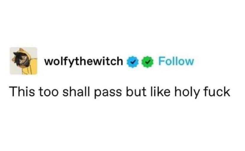 A screenshot of a Twitter/X profile named 'wolftythewitch' with a verified blue checkmark and a green follow button. The…