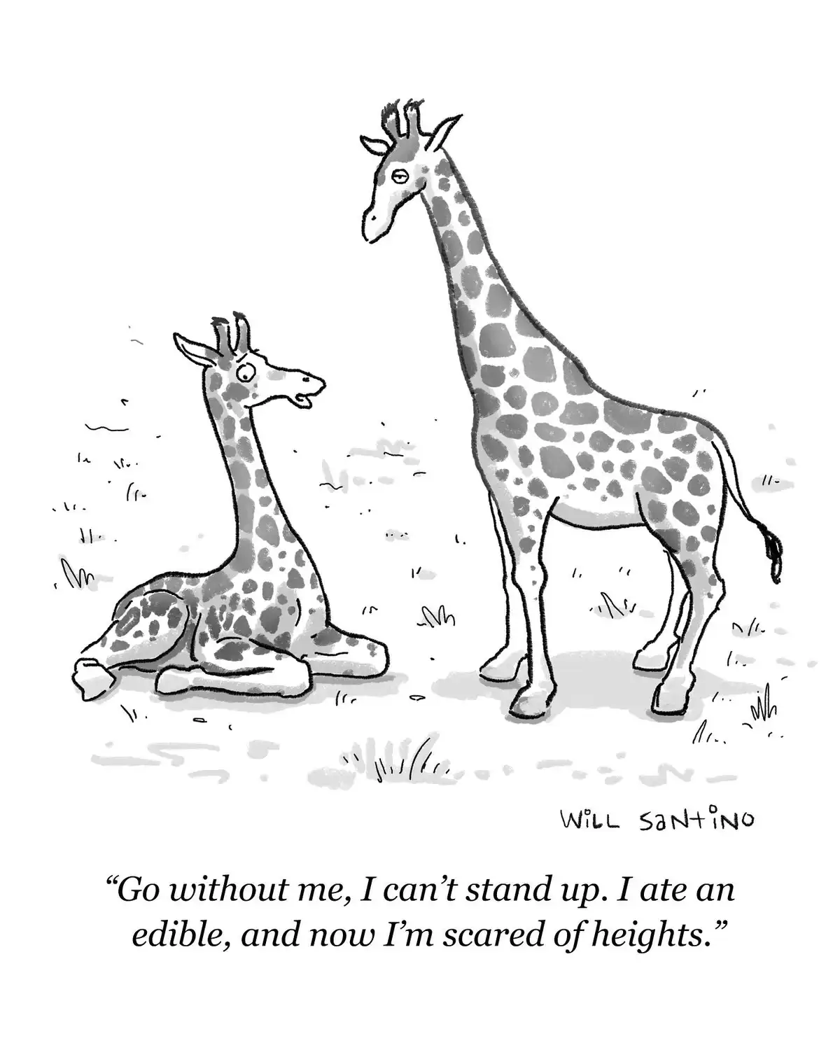 The Daily Struggle: We Can All Relate!