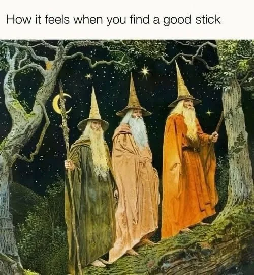 Three wizards in pointed hats and robes stand in a starry forest at night, each holding a staff, looking pleased. The…
