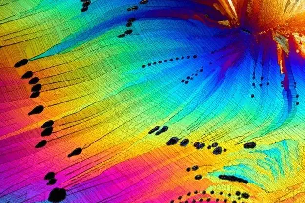 A Closer Look at Caffeine: What Happens Under the Microscope