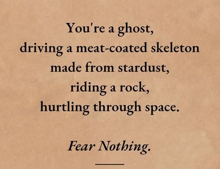 The image displays black text on a textured brown paper background. The text reads: 'You're a ghost, driving a meat-coated…