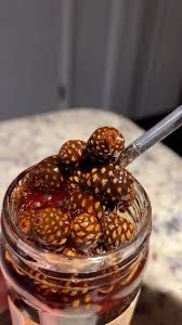 Team Pinecone is jamming together!