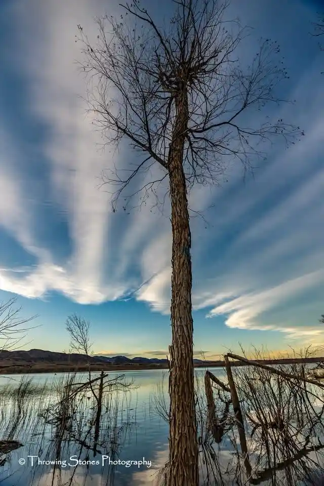 A Unique Perspective from the Clouds