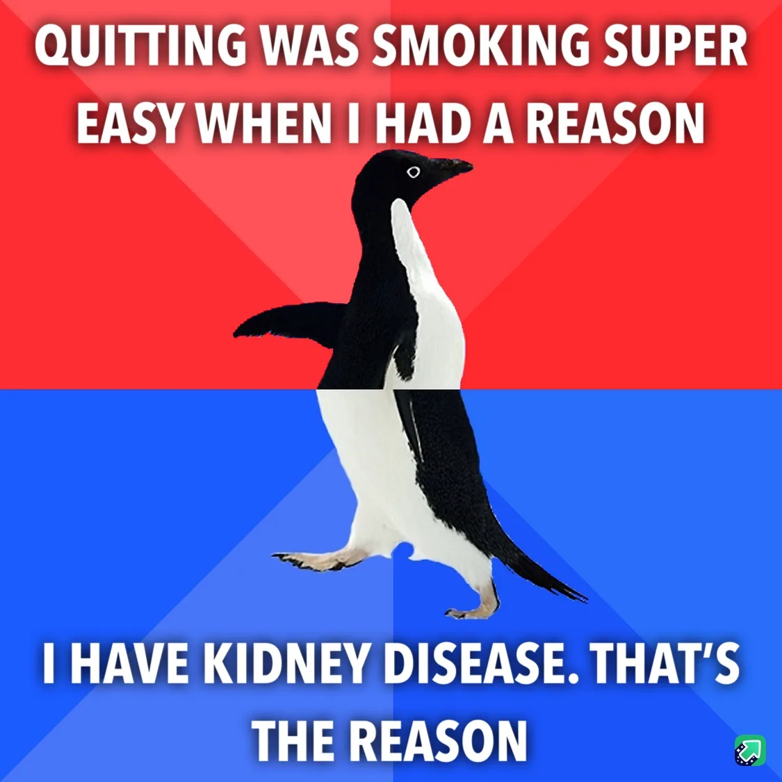 A black-and-white penguin stands centered against a red-and-blue background, with white text overlaid in two sections. The…