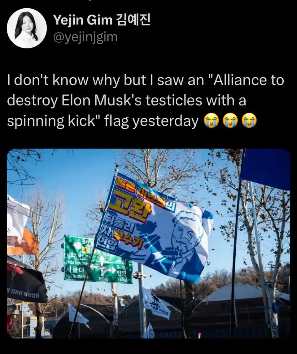 A photo shows a blue and white protest flag with a cartoon drawing of Elon Musk crying, overlaid with Korean text. The flag…