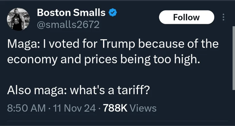 The Economic Fix: Can Tariffs Really Save Us?