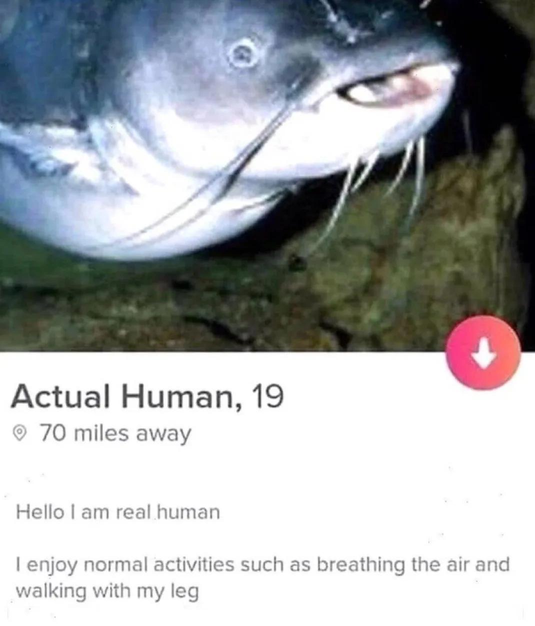 Just Your Average Human Being