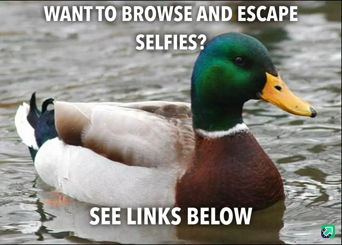 A mallard duck with a green head and yellow beak floats calmly in water, looking sideways. White bold text at the top asks…