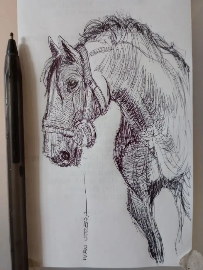 The Majestic Horse in All Its Glory