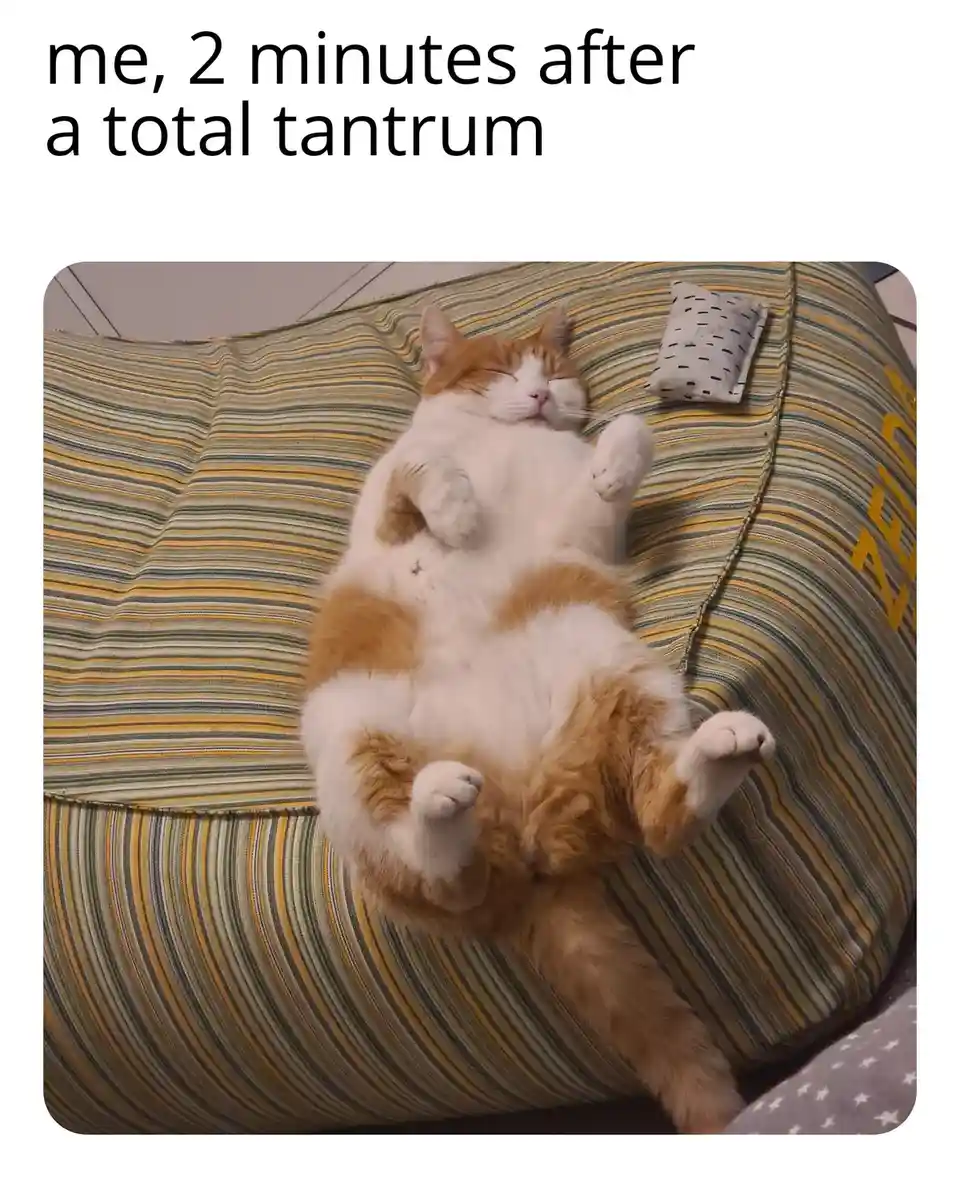 A fluffy orange and white cat is lying on its back on a striped beanbag chair, paws up, eyes closed, appearing completely…