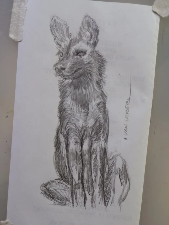 Majestic Painted Wolf in All Its Glory