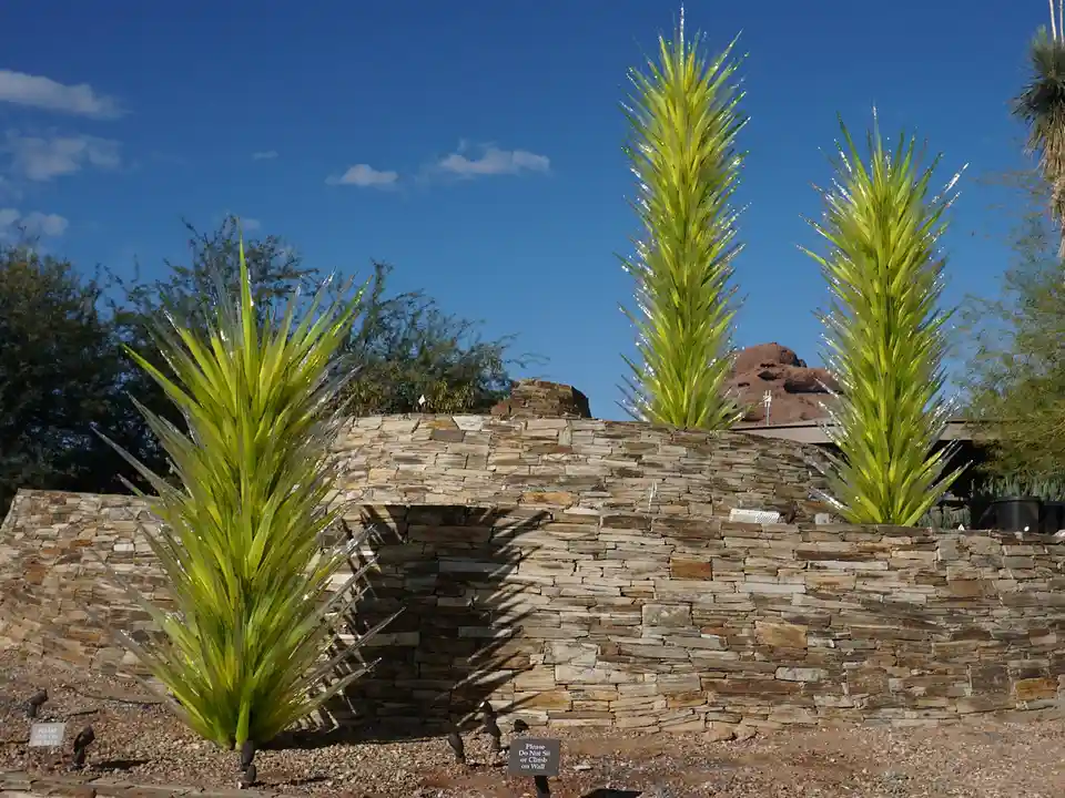 Exploring the Stunning Desert Botanical Gardens
