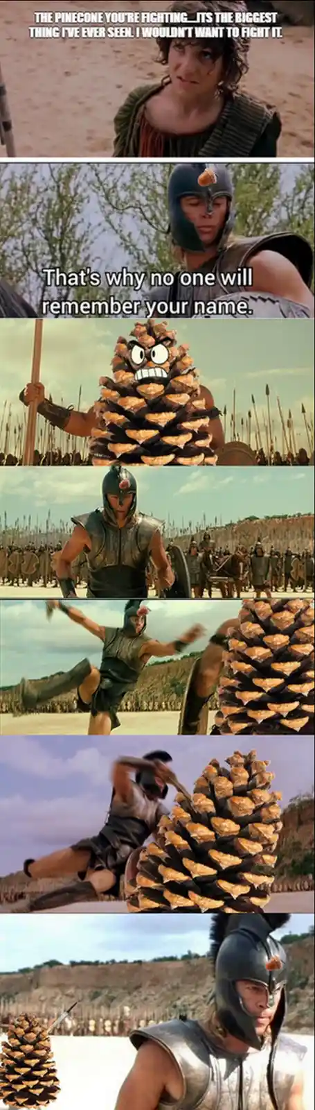 A six-panel meme from the movie '300' shows a warrior facing a giant animated pinecone. The first panel shows a character…