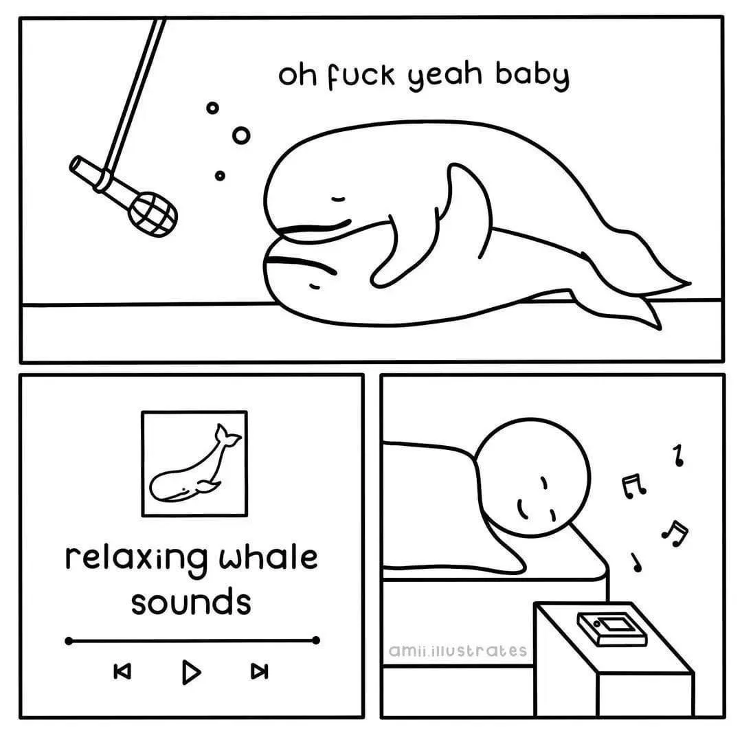 A three-panel black-and-white comic shows a whale singing into a microphone with the text 'oh fuck yeah baby'. The next…