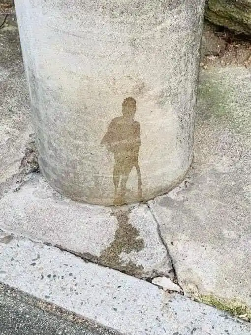 Exploring the connection between the art and the artist.