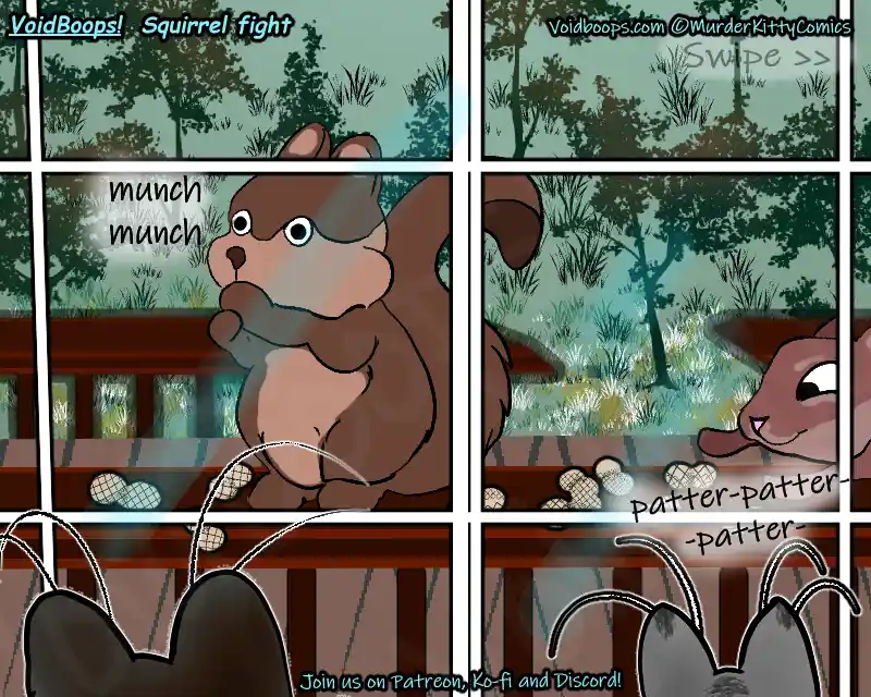 Epic Showdown: Squirrel Showdown Unleashed!
