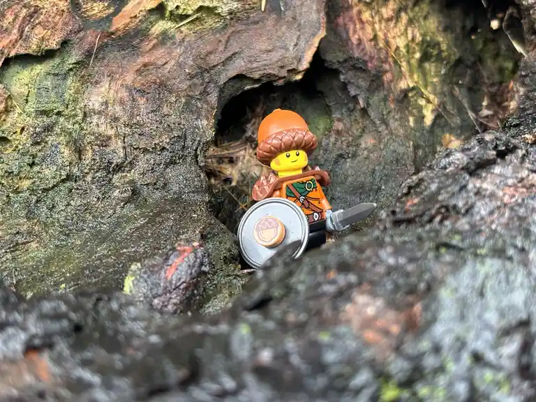 A small LEGO minifigure dressed as a forest warrior with an acorn helmet, shield, and sword is peeking out from a hole in a…