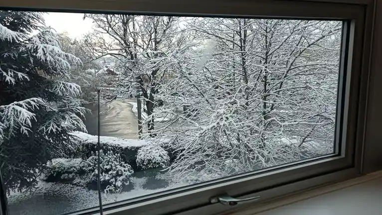 A Beautiful View from My Hospital Ward
