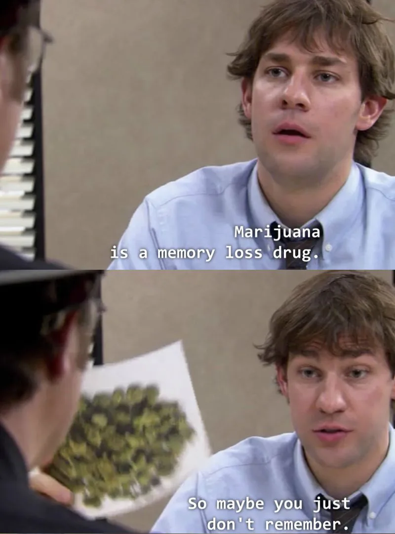 Two-panel meme from 'The Office' featuring Jim Halpert. In the top panel, he states 'Marijuana is a memory loss drug.' In…