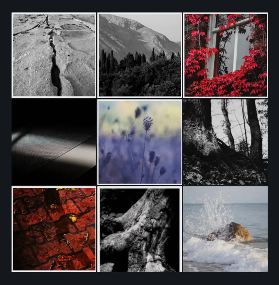 A nine-panel grid of nature and texture photos, mostly in black and white, with selective color highlights like red leaves…