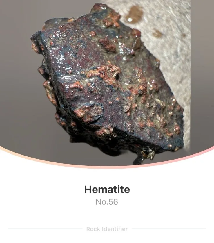 A close-up photo shows a rough, irregularly shaped rock with a dark, rusty-red surface covered in bumps and patches of…