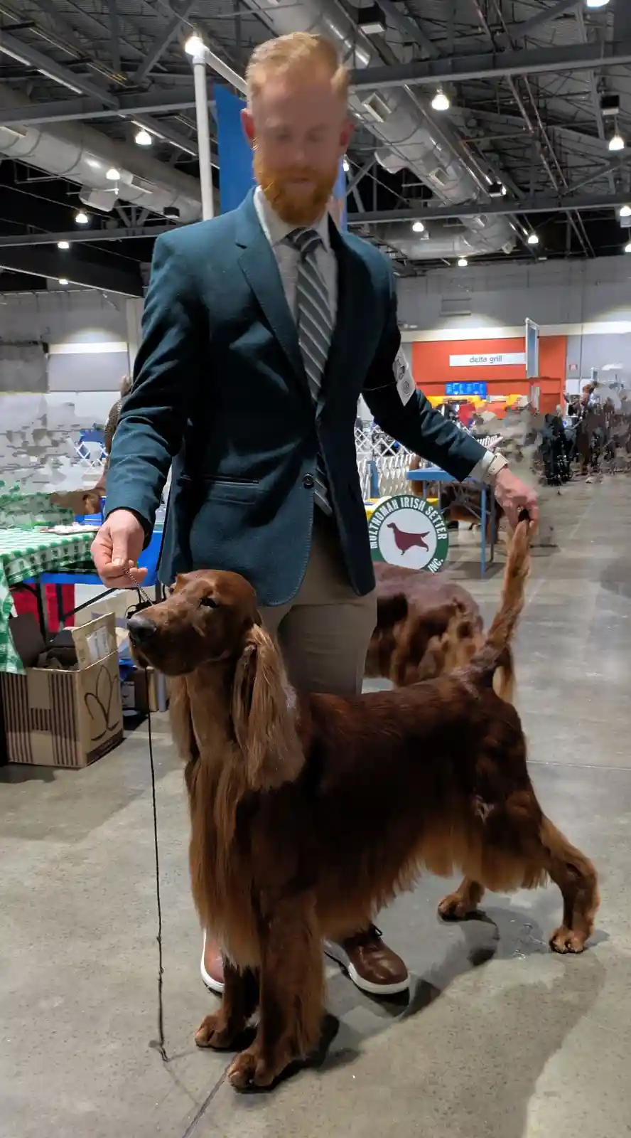 A man with red hair and beard, wearing a teal blazer and tie, stands in a dog show arena holding the leash of a red Irish…
