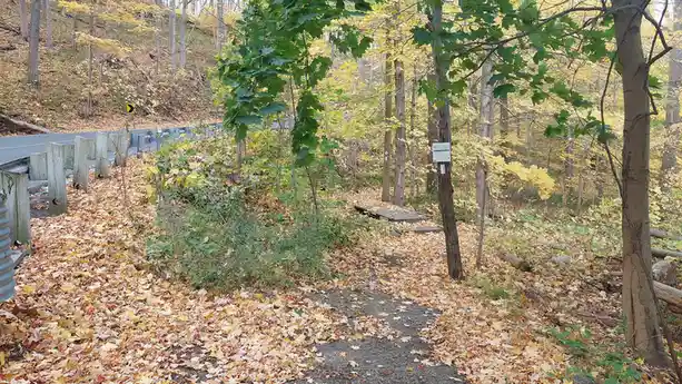 A forest trail covered in fallen autumn leaves runs alongside a paved road with a wooden guardrail. A white sign on a tree…