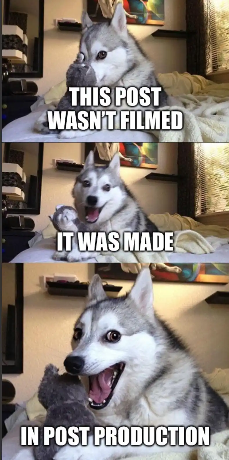 A three-panel meme featuring a Siberian Husky with a stuffed animal, showing escalating expressions from neutral to shocked…