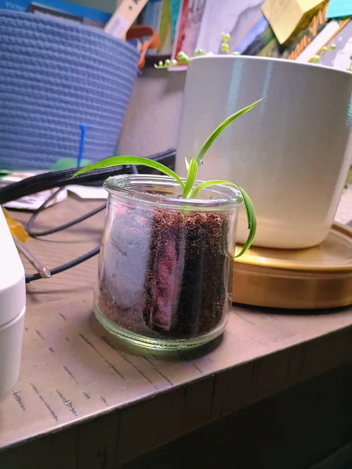 Thoughtful Xmas Gifts for Your Coworkers