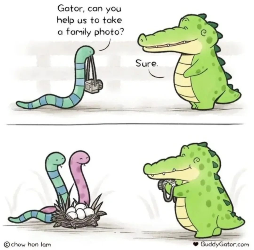 Meet My Charming Buddy Gator