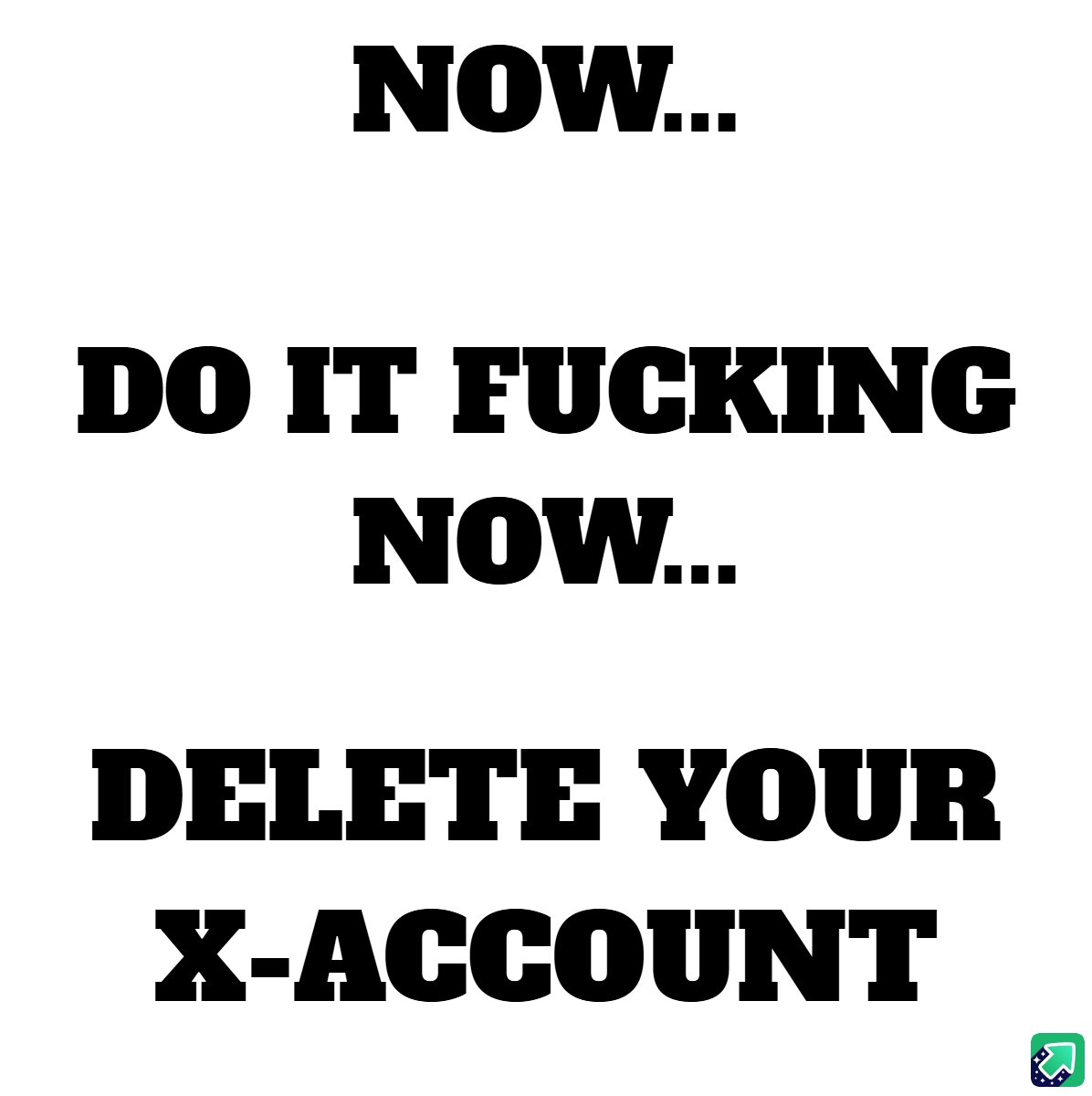 A plain white background with bold black text in a stacked layout. The text reads 'NOW...', followed by 'DO IT FUCKING…