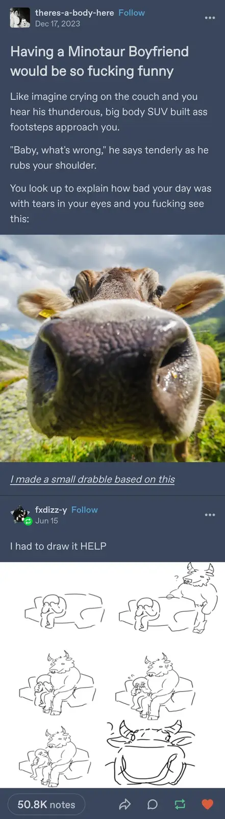 The image shows a close-up photo of a cow's face, with its large, wet nose filling most of the frame, looking directly at…