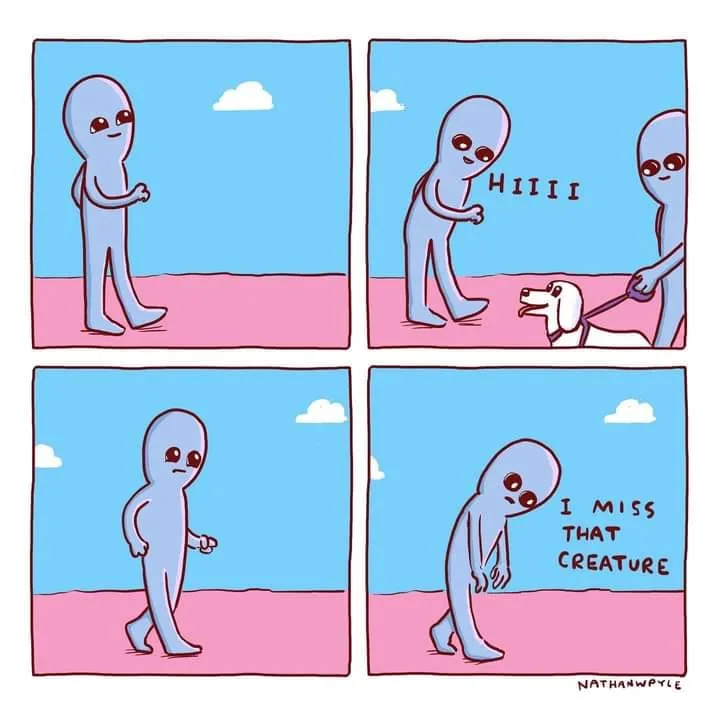 Every Single Time Without Fail