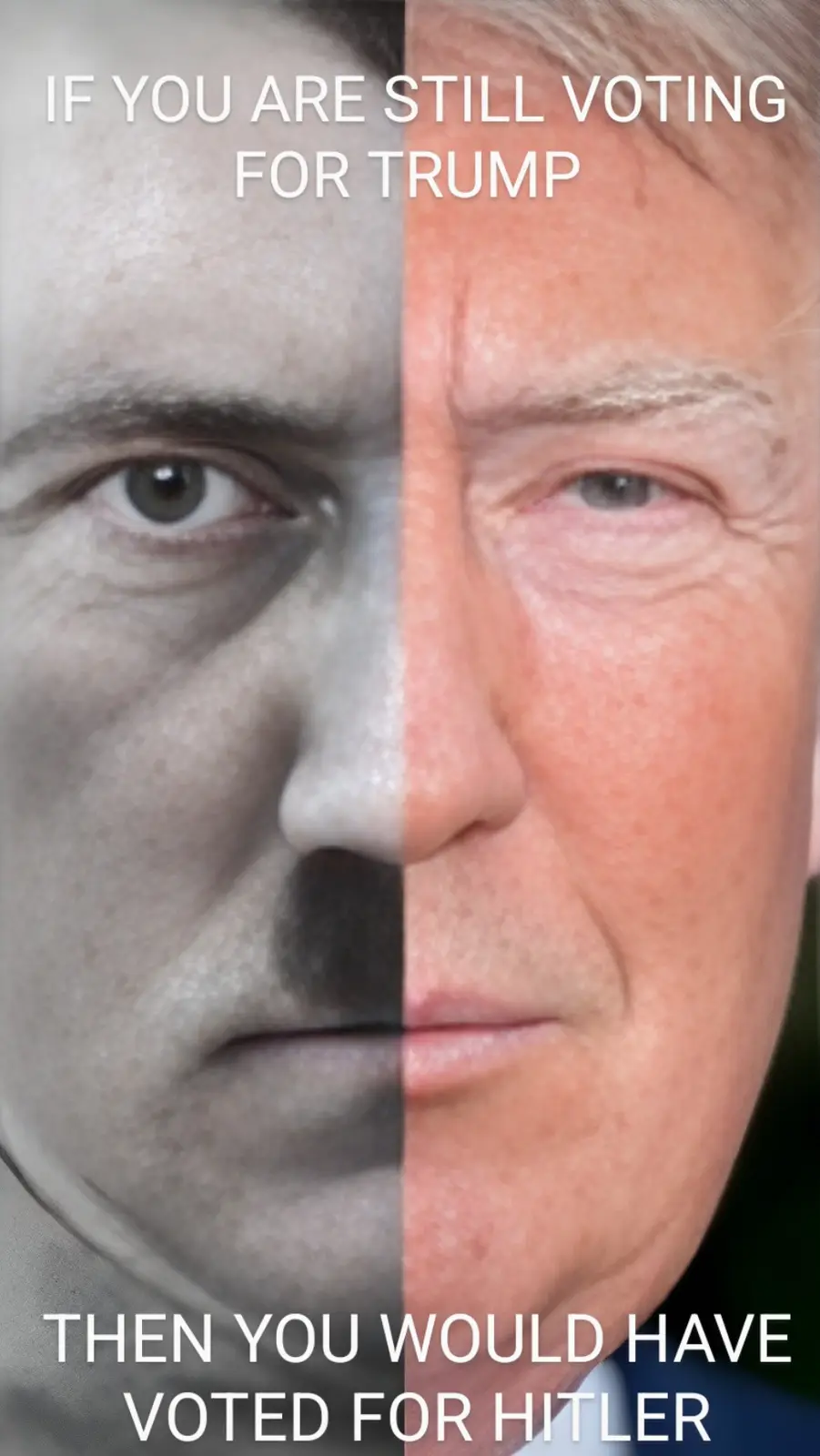 Birds of a Feather Flock Together