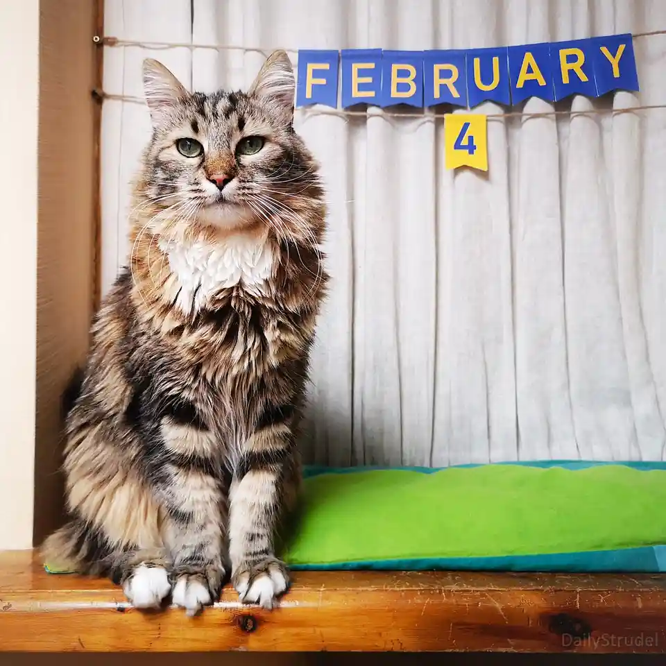Mark Your Calendars: February 4th