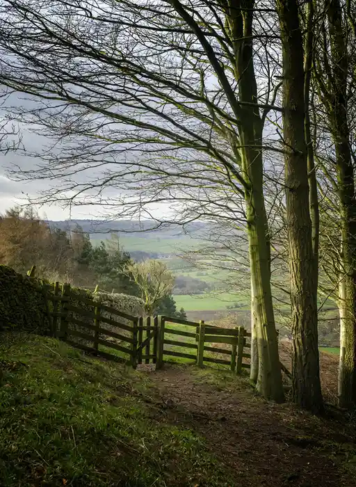 Exploring Hassop: A Hidden Gem