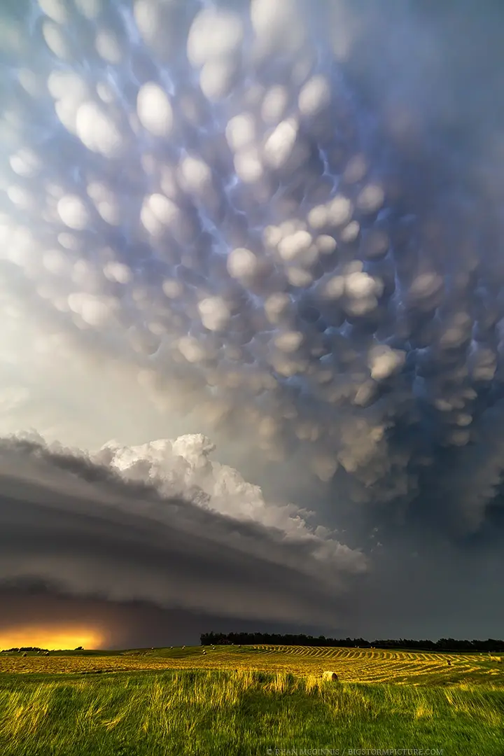a dramatic landscape photograph shows a vast green field under a sky filled with distinctive mammatus clouds—pendant…