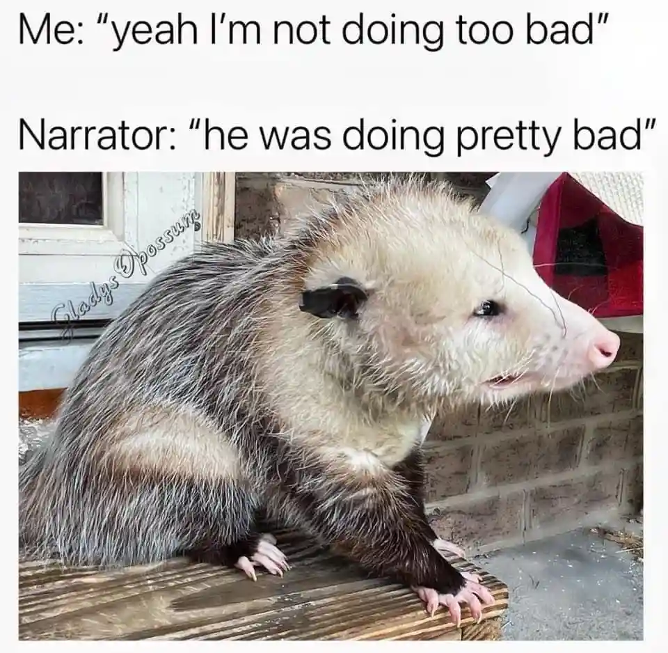 A close-up photo of a fluffy, grumpy-looking opossum sitting on a wooden surface, looking sideways with a skeptical or…