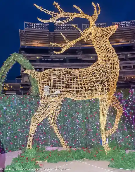 A large, illuminated wireframe reindeer sculpture made of golden lights stands in front of a stadium at night, surrounded by…