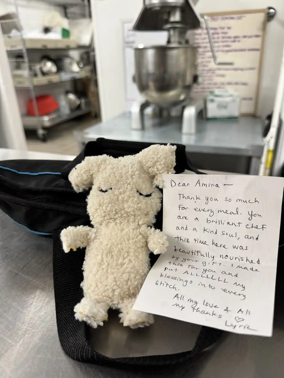 A handmade, fluffy white stuffed animal with closed eyes sits on a black bag on a stainless steel kitchen counter. Beside it…