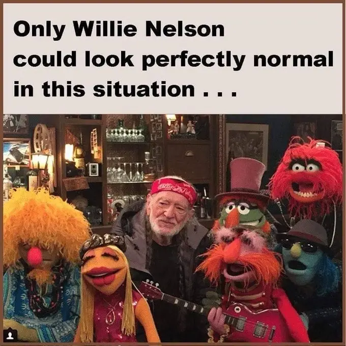 It's Absolutely True!