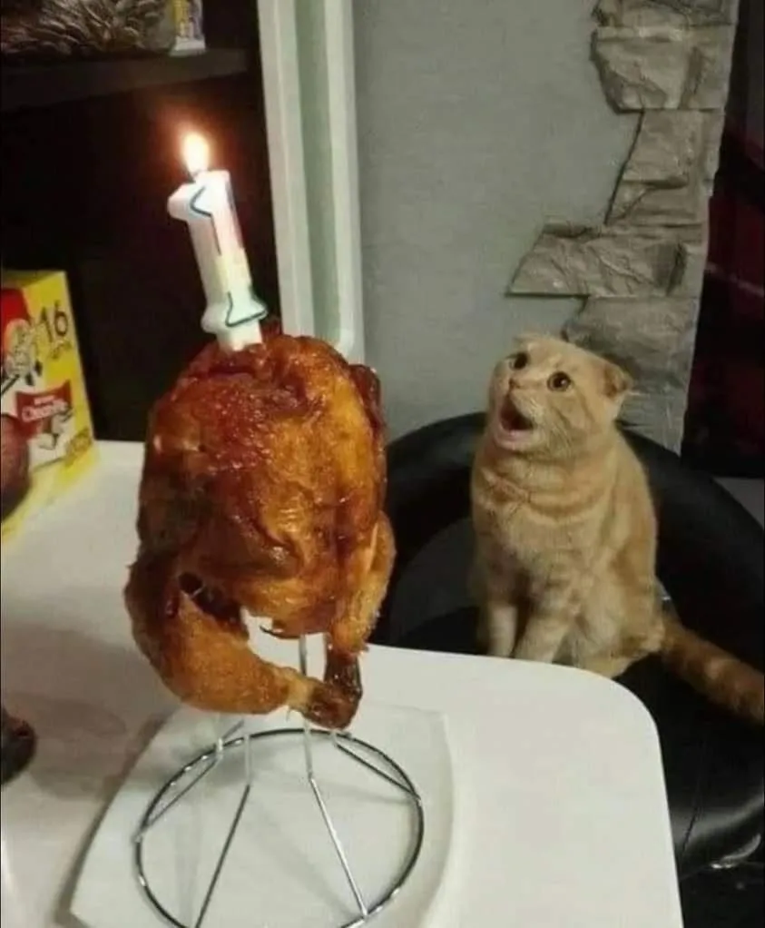 A whole roasted chicken sits on a metal stand with a lit birthday candle shaped like the number one inserted into its back…