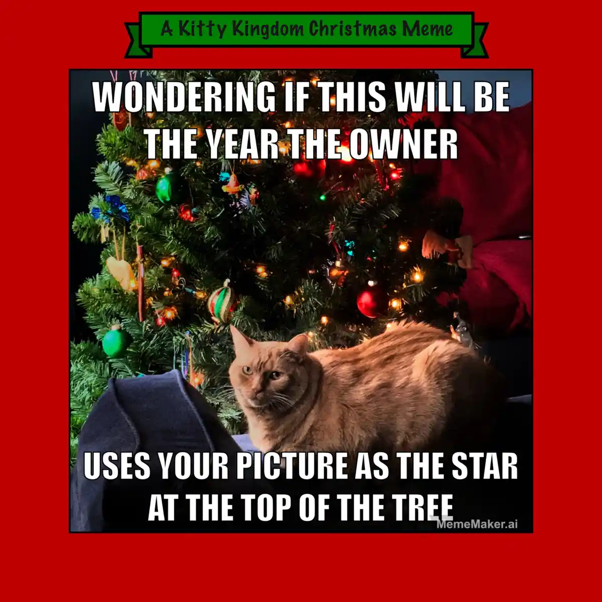 A ginger cat sits in front of a decorated Christmas tree with a skeptical expression. Overlaid text reads 'WONDERING IF THIS…