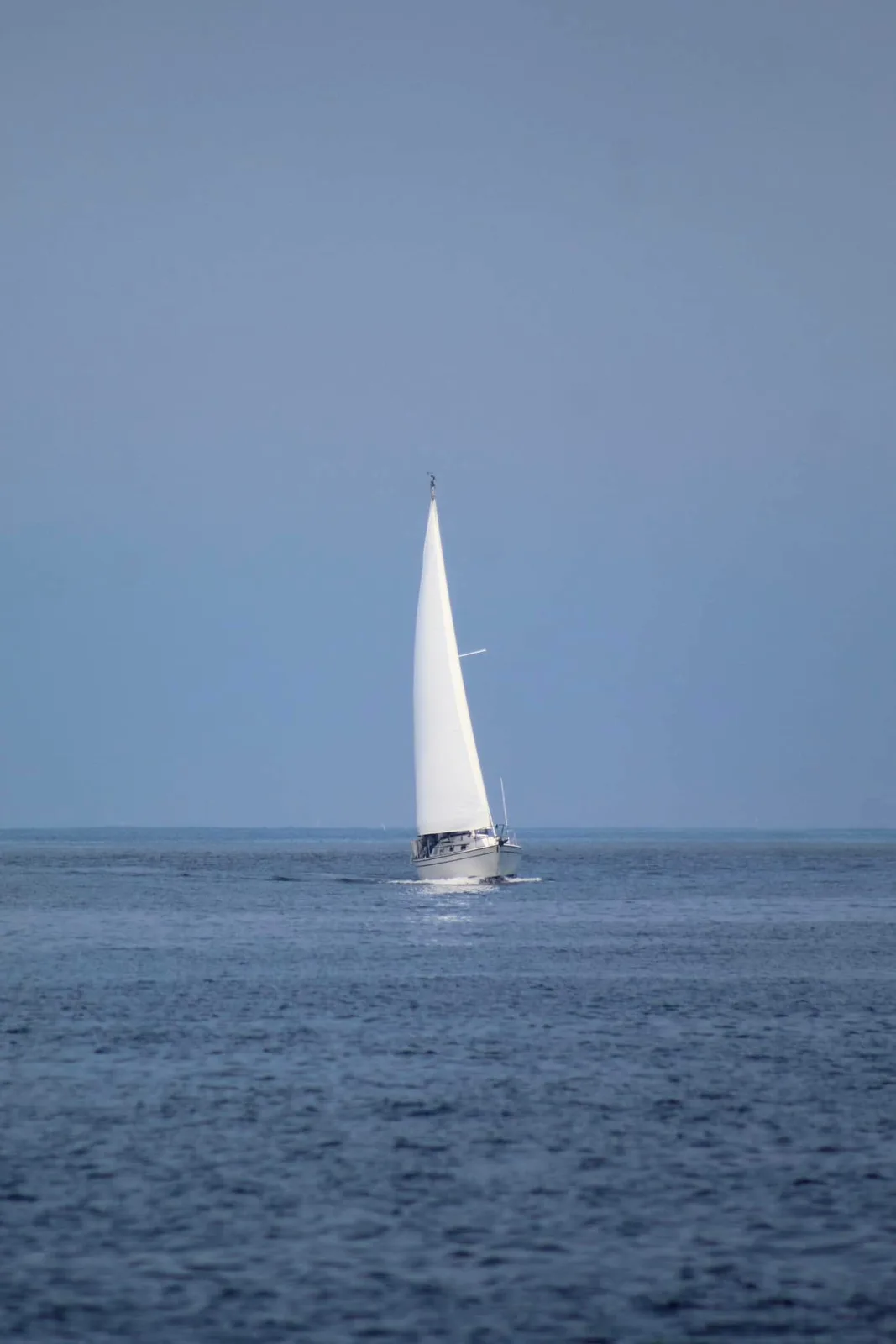 Setting Sail on New Adventures