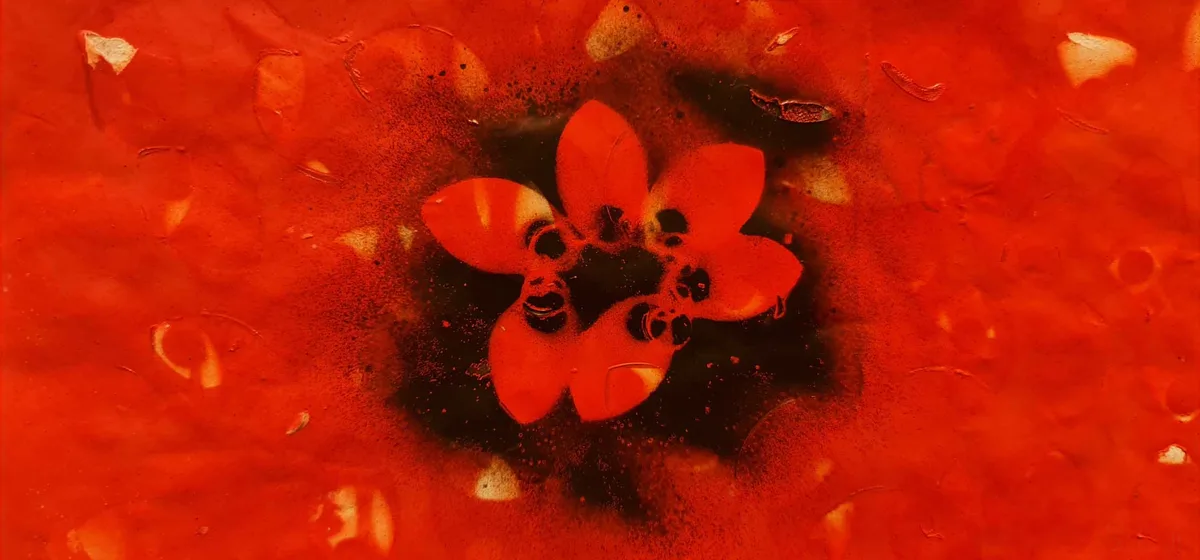 A close-up image shows a red, flower-like shape with dark, almost black, centers resembling eyes and mouths, set against a…