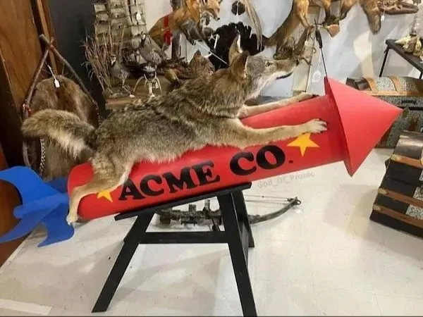 I Really Want One of These!