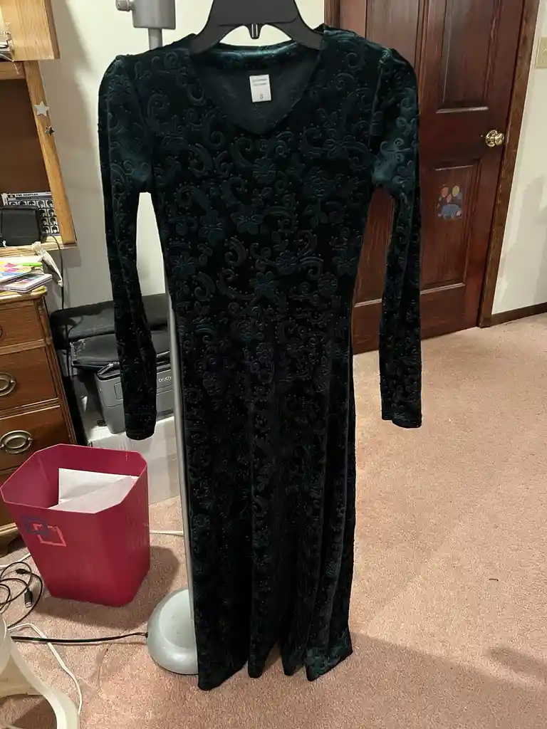 Check Out My Fabulous Dress!